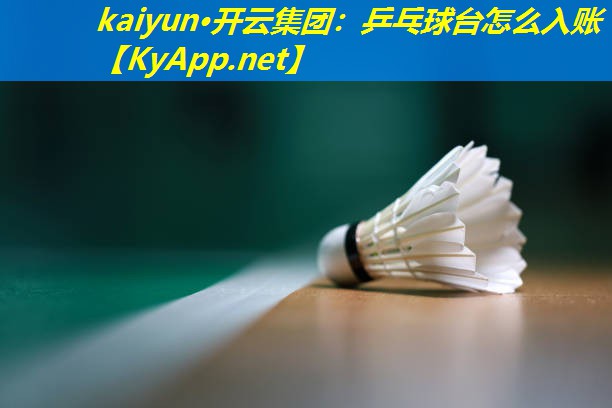 kaiyun·开云集团：乒乓球台怎么入账