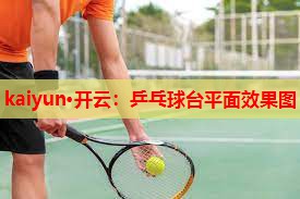 kaiyun·开云：乒乓球台平面效果图