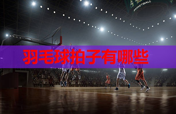 羽毛球拍子有哪些