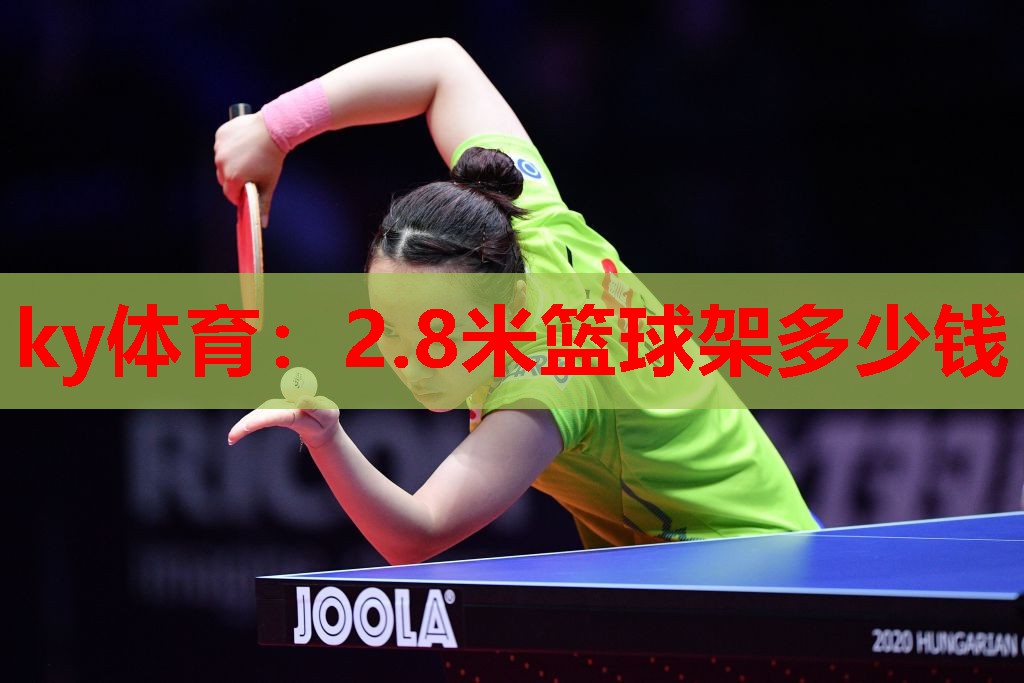 ky体育：2.8米篮球架多少钱