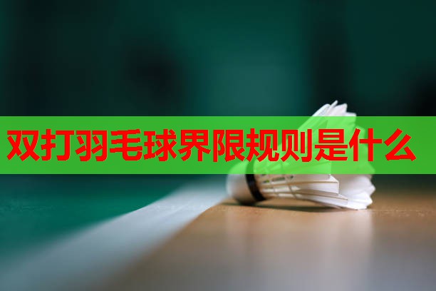 双打羽毛球界限规则是什么