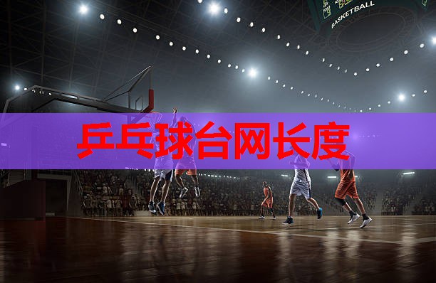 乒乓球台网长度