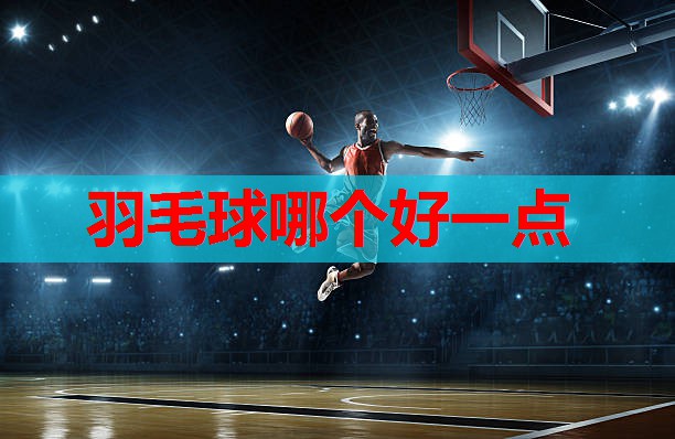 羽毛球哪个好一点