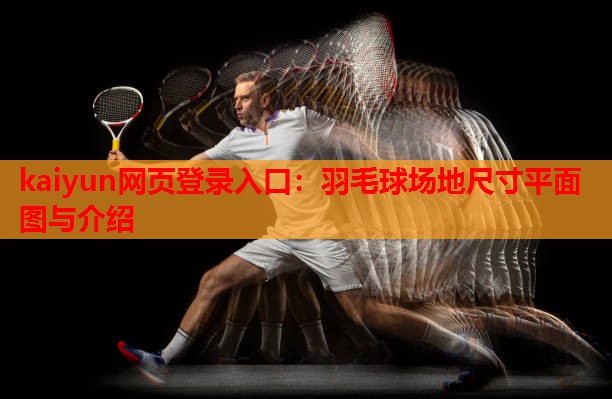 kaiyun网页登录入口：羽毛球场地尺寸平面图与介绍