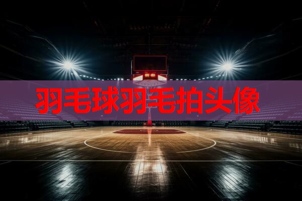 羽毛球羽毛拍头像