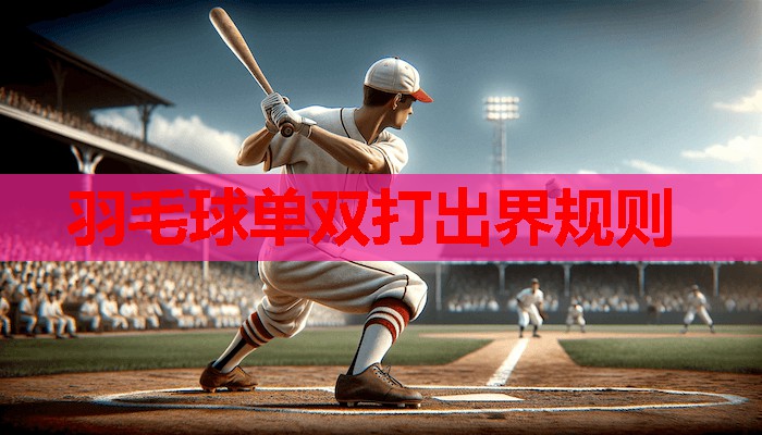 羽毛球单双打出界规则