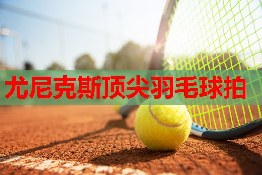 尤尼克斯顶尖羽毛球拍