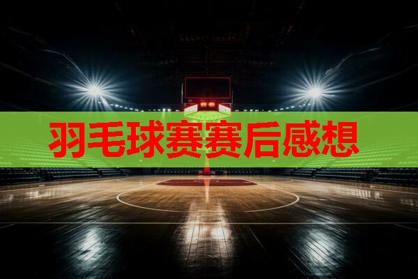 羽毛球赛赛后感想