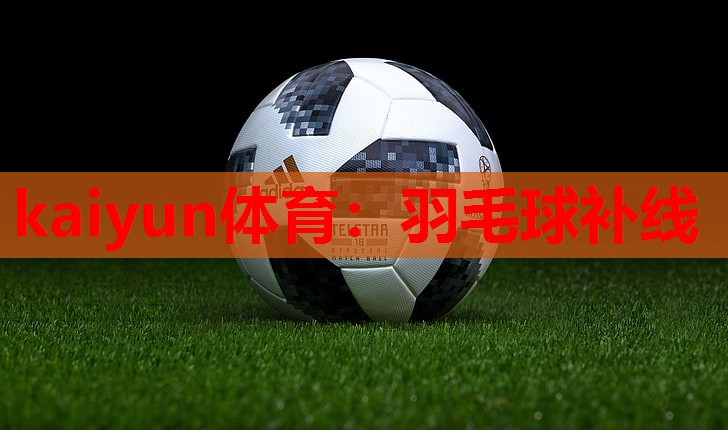 kaiyun体育：羽毛球补线