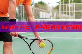 乒乓球台平面效果图