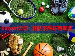 国内羽毛球有哪些