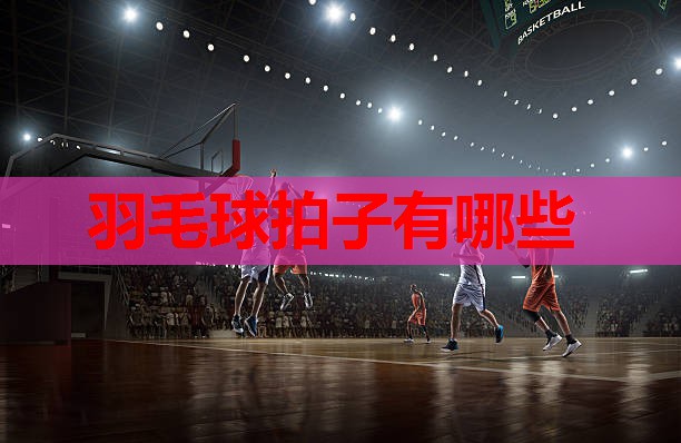 羽毛球拍子有哪些