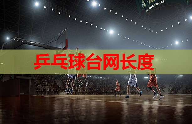 乒乓球台网长度