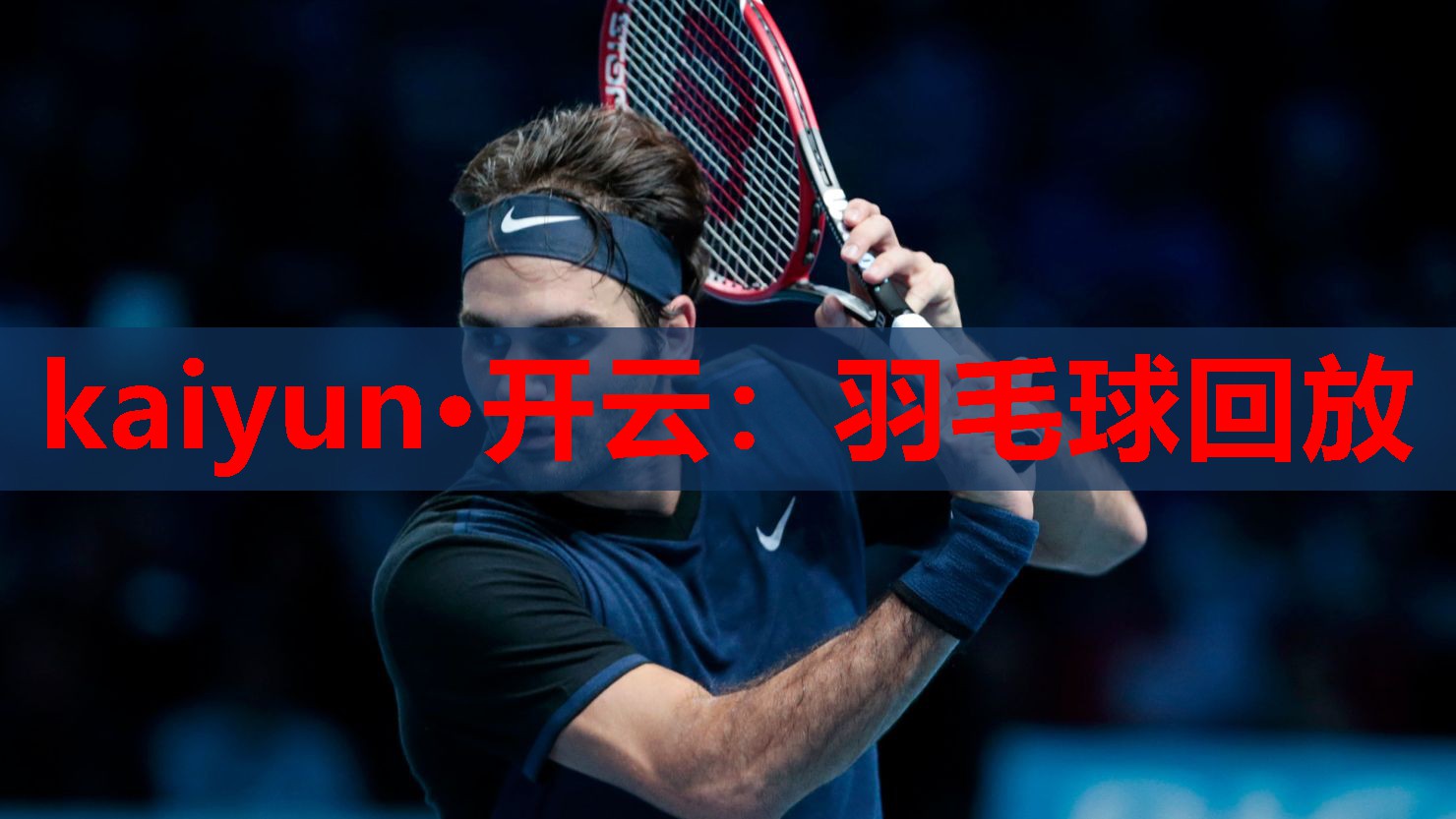 羽毛球回放