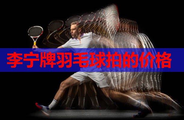 李宁牌羽毛球拍的价格