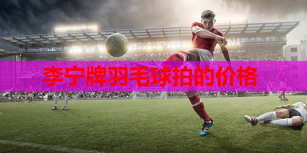 李宁牌羽毛球拍的价格
