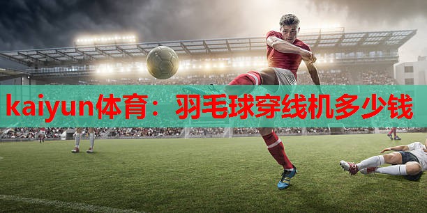羽毛球穿线机多少钱