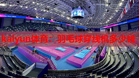 羽毛球穿线机多少钱