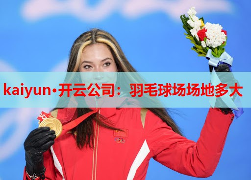 羽毛球场场地多大