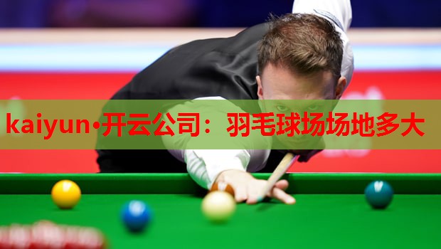 羽毛球场场地多大