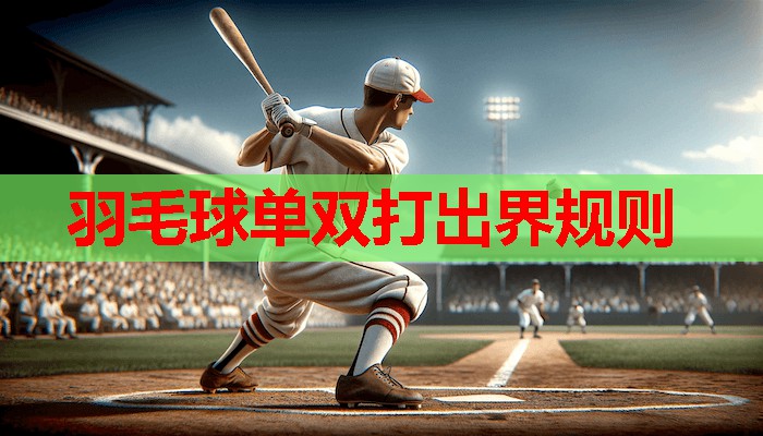 羽毛球单双打出界规则