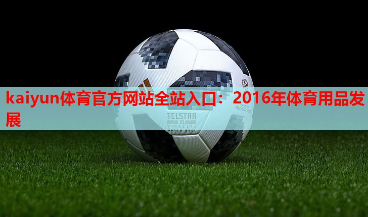 2016年体育用品发展
