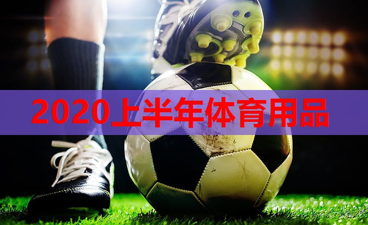 2020上半年体育用品