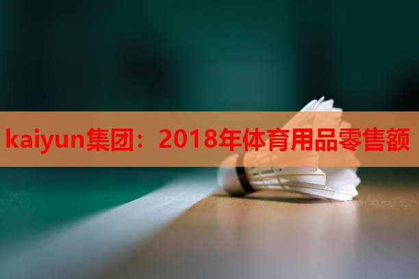 2018年体育用品零售额