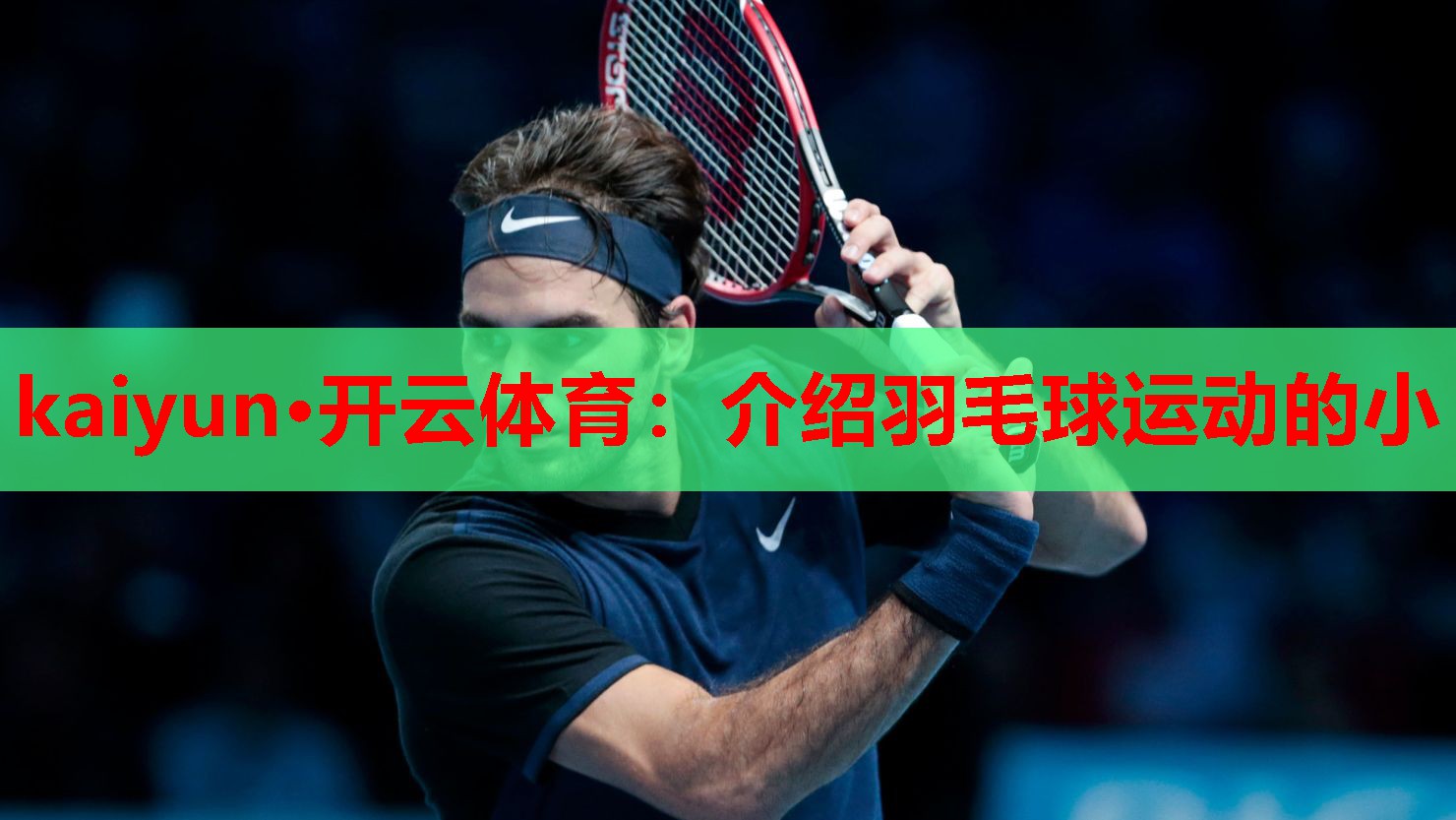介绍羽毛球运动的小