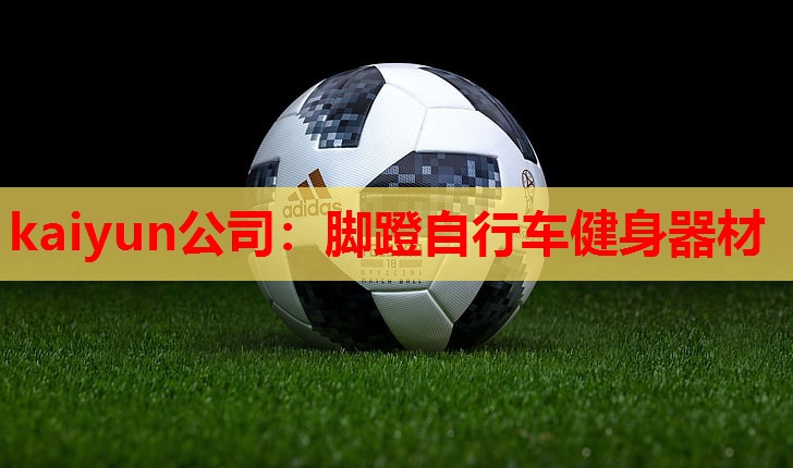 脚蹬自行车健身器材
