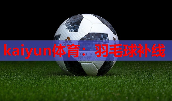 羽毛球补线