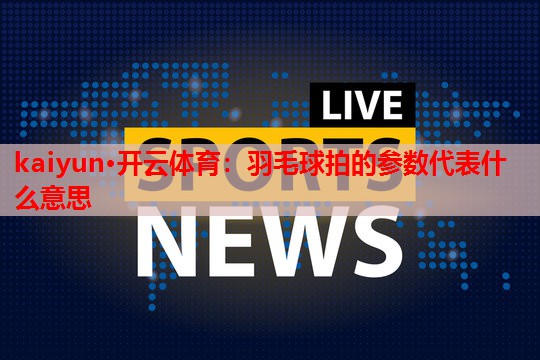 羽毛球拍的参数代表什么意思