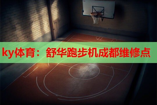 舒华跑步机成都维修点